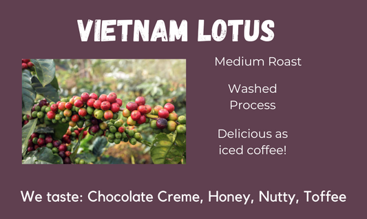 Vietnam Lotus